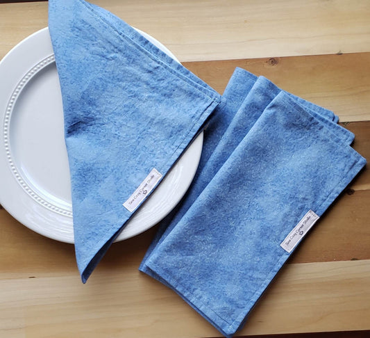 Simple Blue Cloth Napkins - Set of 4, Everyday Table Setting